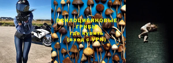 герыч Вяземский
