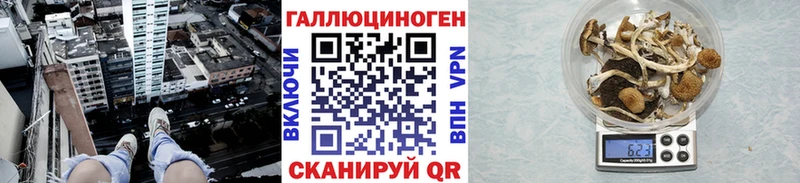 где продают   Дзержинск  Галлюциногенные грибы Psilocybine cubensis 